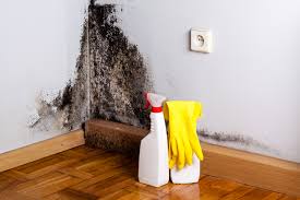 Best Asbestos and Lead Testing During Mold Inspection  in Bing, OR